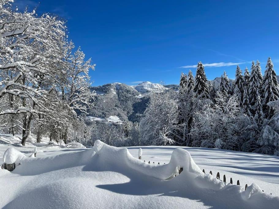 Chalet Alpage Proche Geneve Mégevette Εξωτερικό φωτογραφία