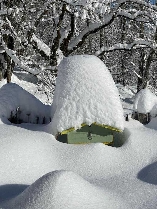 Chalet Alpage Proche Geneve Mégevette Εξωτερικό φωτογραφία