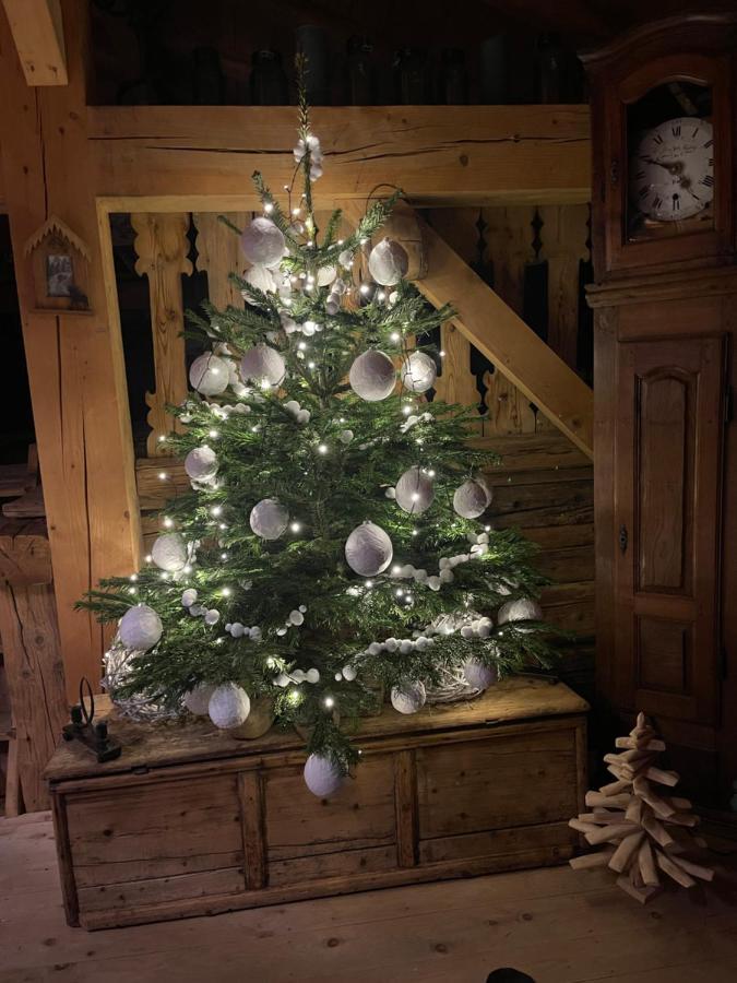 Chalet Alpage Proche Geneve Mégevette Εξωτερικό φωτογραφία
