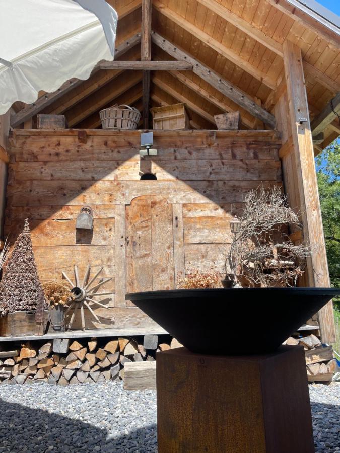 Chalet Alpage Proche Geneve Mégevette Εξωτερικό φωτογραφία